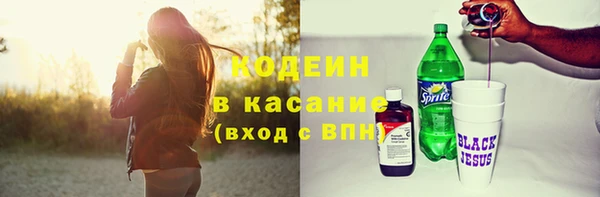 молекула духа Богданович
