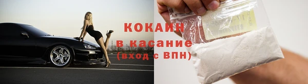молекула духа Богданович