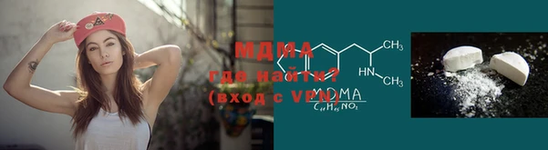 молекула духа Богданович