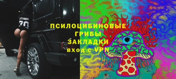 молекула духа Богданович